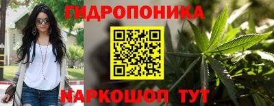 кокс Дубна