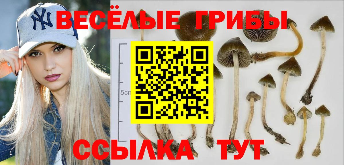 Галлюциногенные грибы Magic Shrooms Набережные Челны